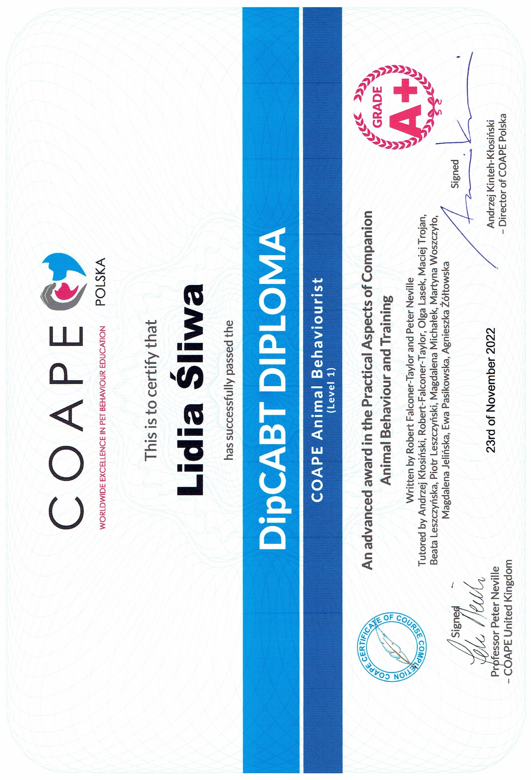 Diploma 1