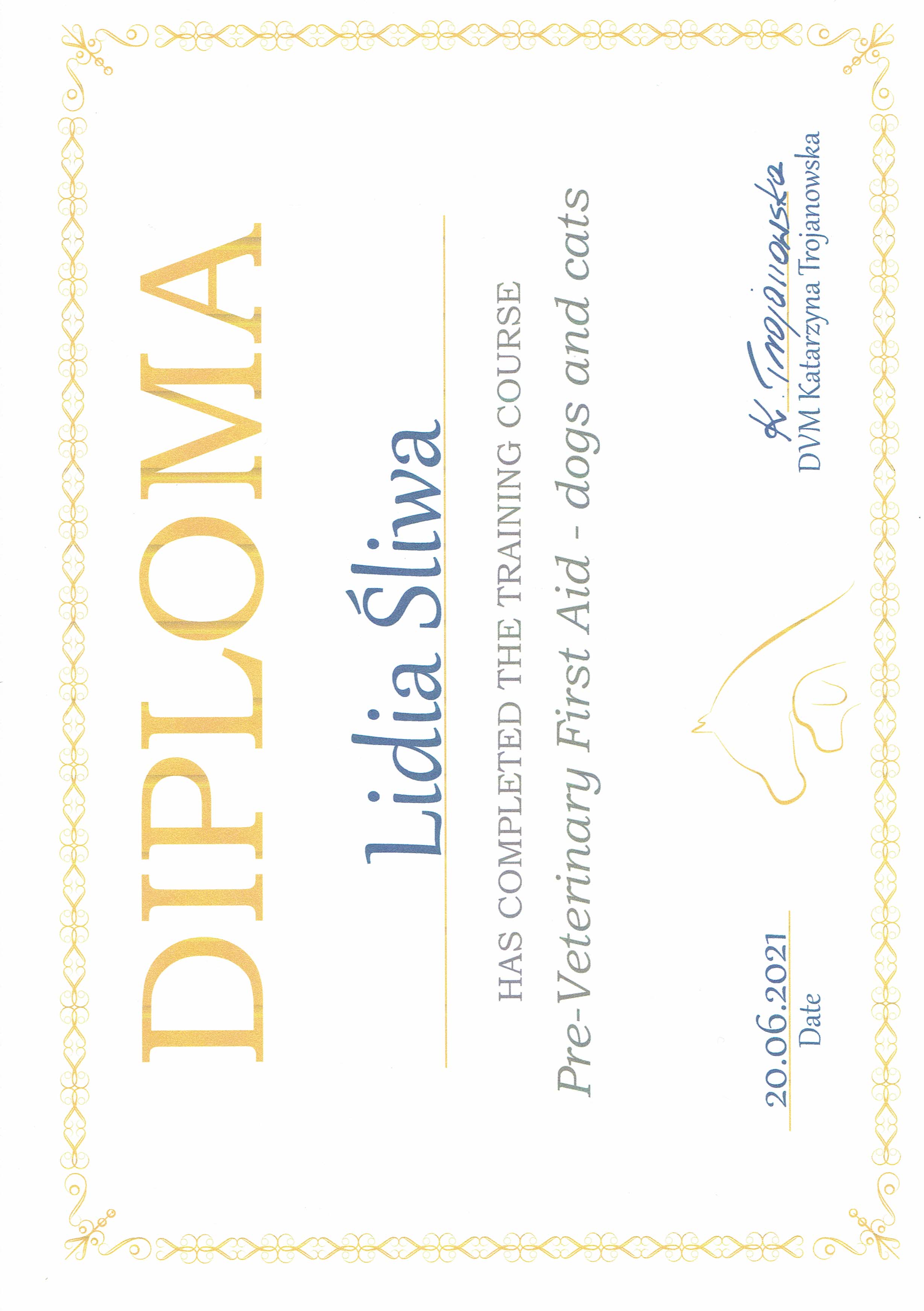 Diploma 4